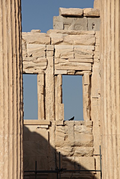 Parthenon 6